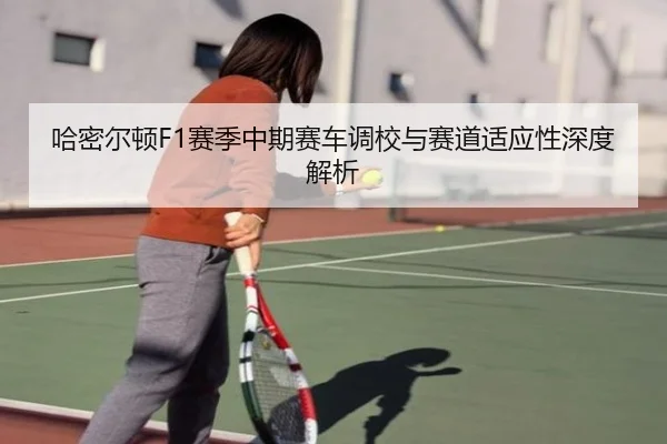 哈密尔顿F1赛季中期赛车调校与赛道适应性深度解析